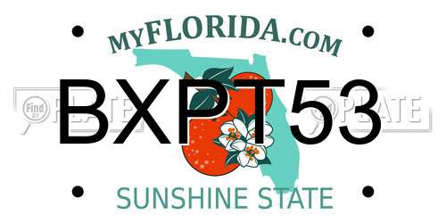 BXPT53 Florida License Plate