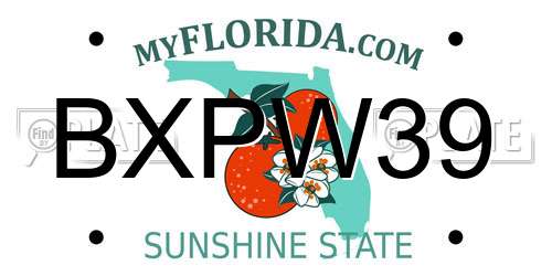BXPW39 Florida License Plate