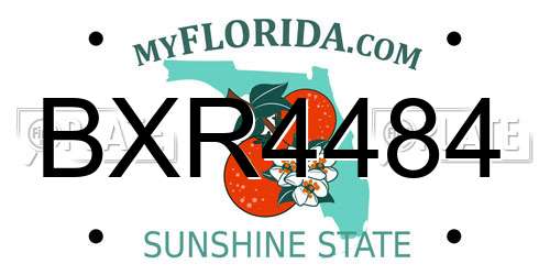 BXR4484 Florida License Plate