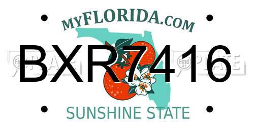 BXR7416 Florida License Plate