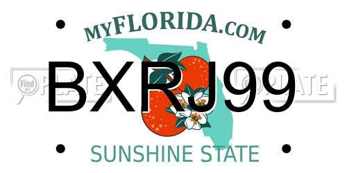 BXRJ99 Florida License Plate