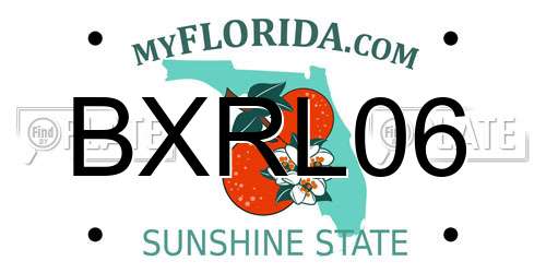 BXRL06 Florida License Plate