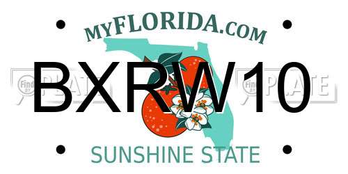 BXRW10 Florida License Plate