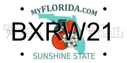 BXRW21 Florida License Plate