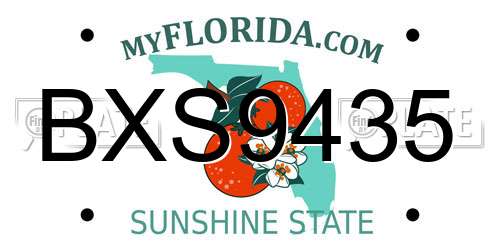 BXS9435 Florida License Plate