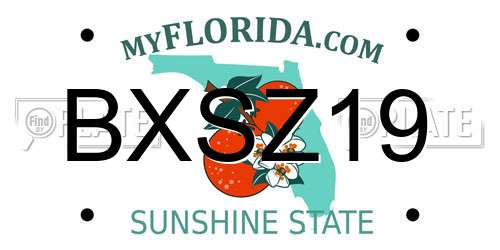 BXSZ19 Florida License Plate