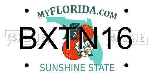 BXTN16 Florida License Plate