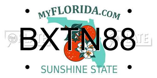 BXTN88 Florida License Plate