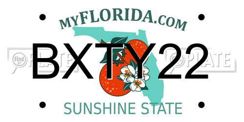 BXTY22 Florida License Plate