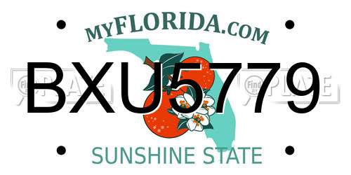 BXU5779 Florida License Plate