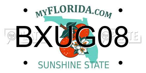 BXUG08 Florida License Plate