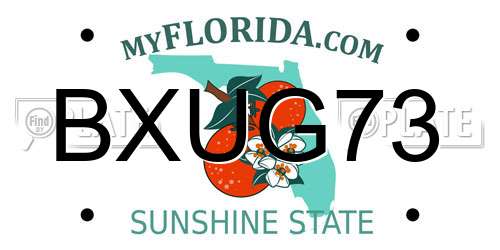 BXUG73 Florida License Plate