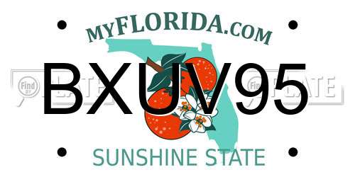 BXUV95 Florida License Plate