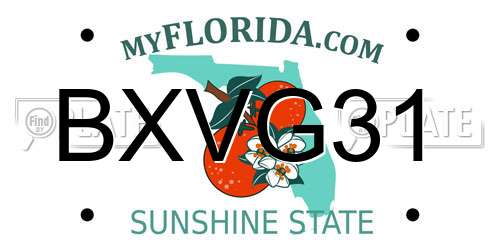 BXVG31 Florida License Plate