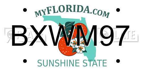 BXWM97 Florida License Plate