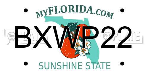 BXWP22 Florida License Plate
