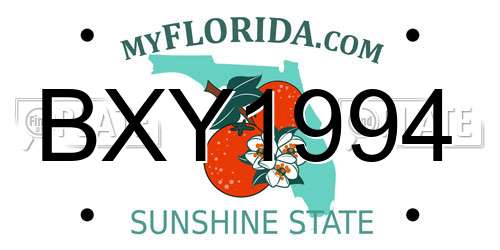 BXY1994 Florida License Plate