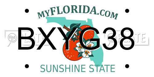 BXYG38 Florida License Plate
