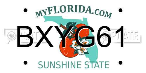 BXYG61 Florida License Plate