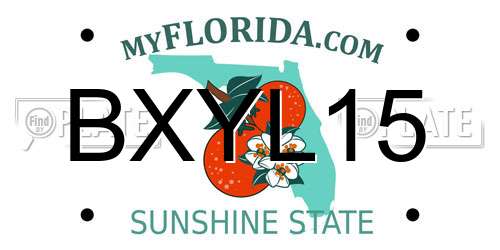 BXYL15 Florida License Plate
