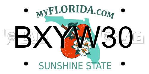 BXYW30 Florida License Plate