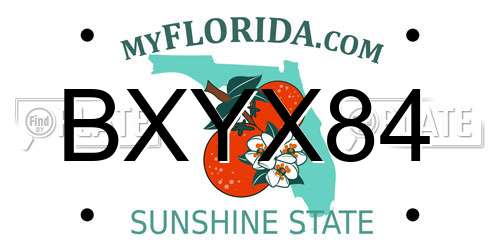BXYX84 Florida License Plate