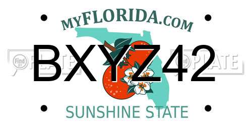BXYZ42 Florida License Plate