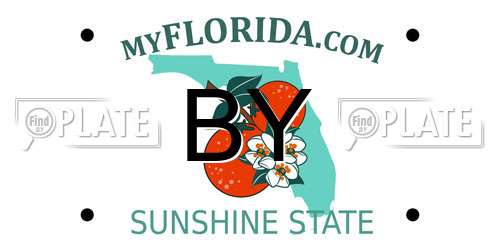 BY Florida License Plate