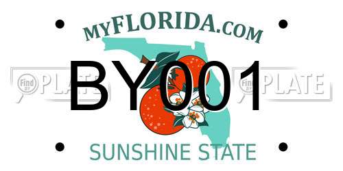 BY001 Florida License Plate