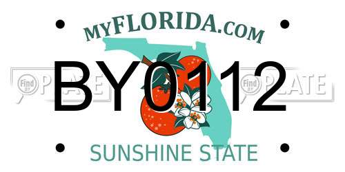 BY0112 Florida License Plate