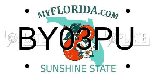 BY03PU Florida License Plate