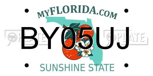 BY05UJ Florida License Plate