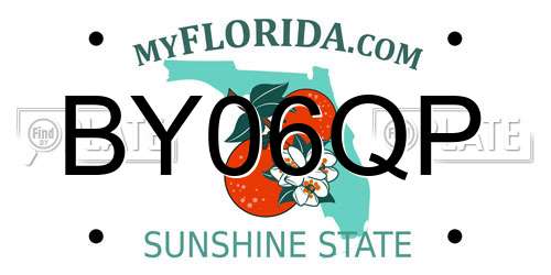 BY06QP Florida License Plate