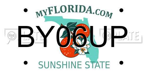 BY06UP Florida License Plate