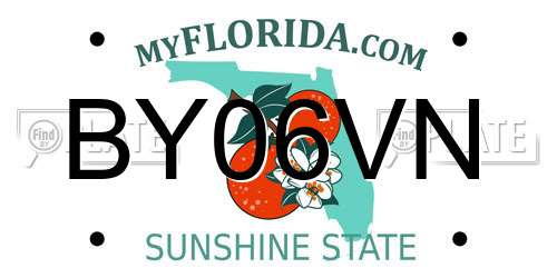 BY06VN Florida License Plate