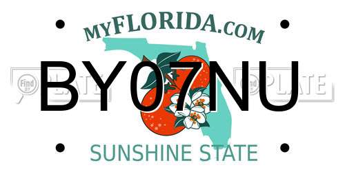 BY07NU Florida License Plate