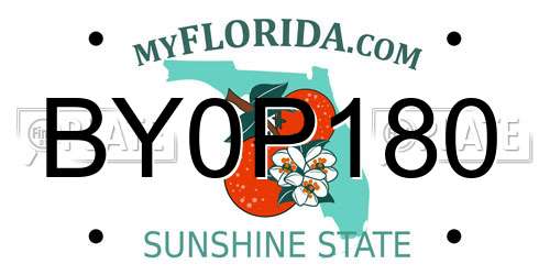 BY0P180 Florida License Plate