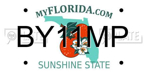 BY11MP Florida License Plate