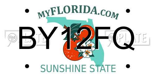 BY12FQ Florida License Plate