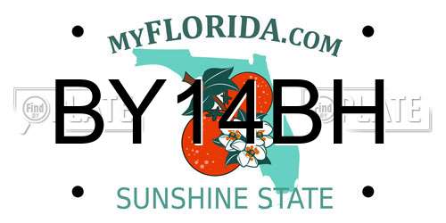 BY14BH Florida License Plate