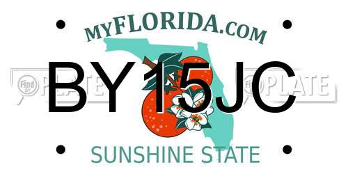 BY15JC Florida License Plate
