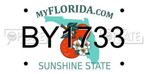 BY1733 Florida License Plate
