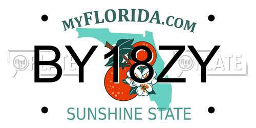 BY18ZY Florida License Plate