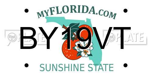 BY19VT Florida License Plate