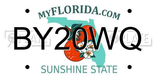BY20WQ Florida License Plate