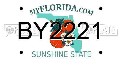 BY2221 Florida License Plate
