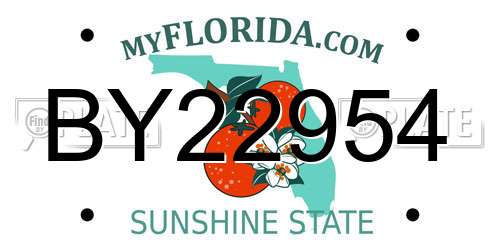 BY22954 Florida License Plate