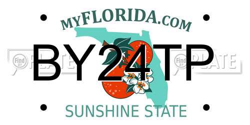 BY24TP Florida License Plate