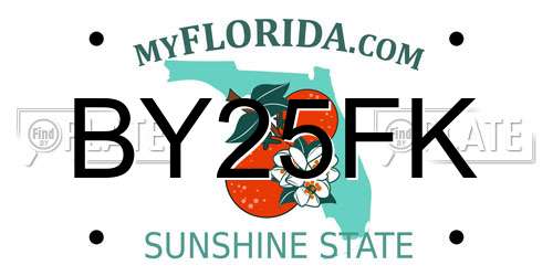 BY25FK Florida License Plate