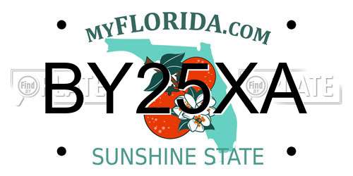 BY25XA Florida License Plate